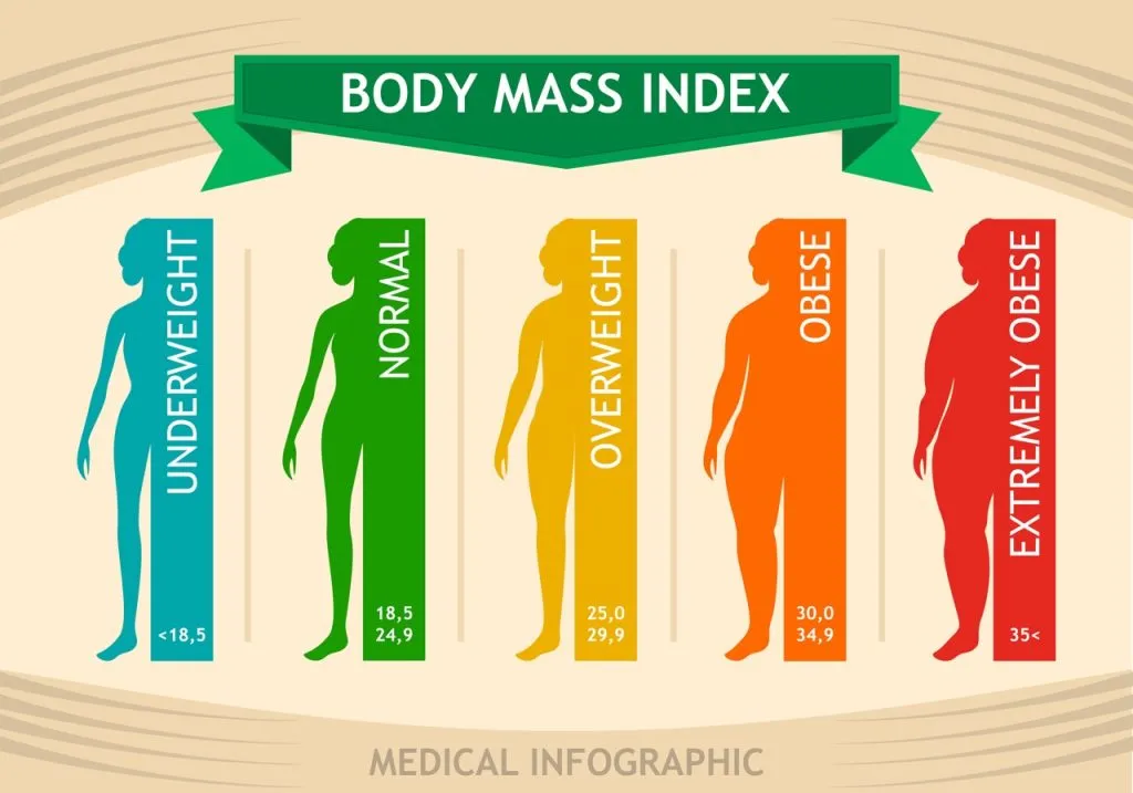 bmi oversigt