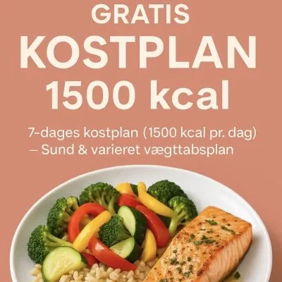 kostplan