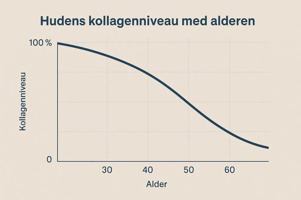 Kollagen niveau falder med alderen